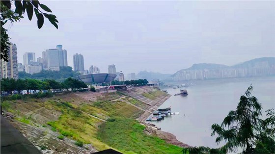 三峽之星體育館