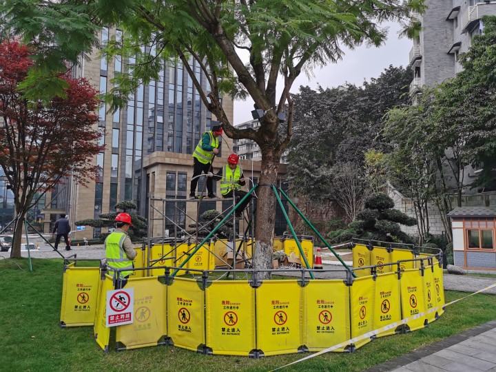 中山四路亮化工程 (4)